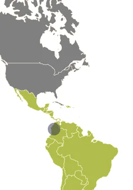 mapa-col
